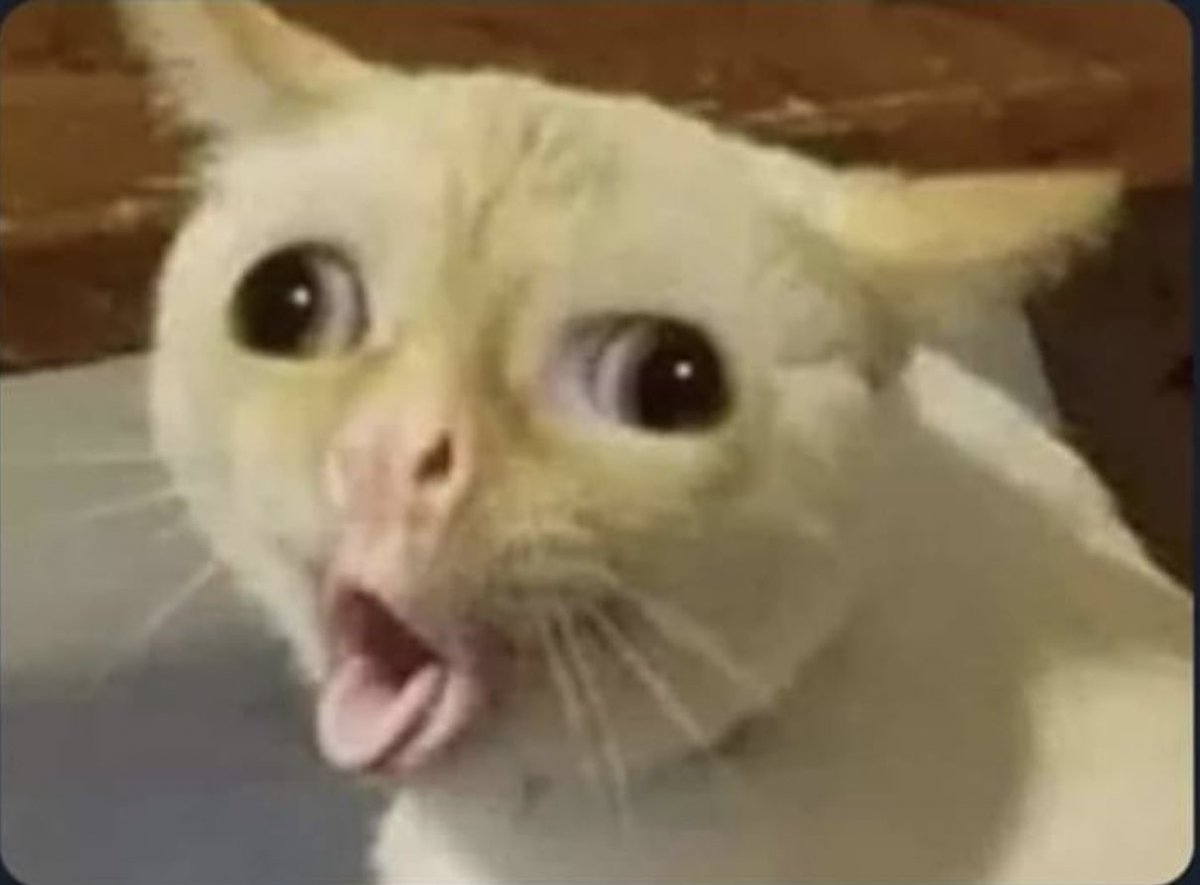 Mantenimiento del survival